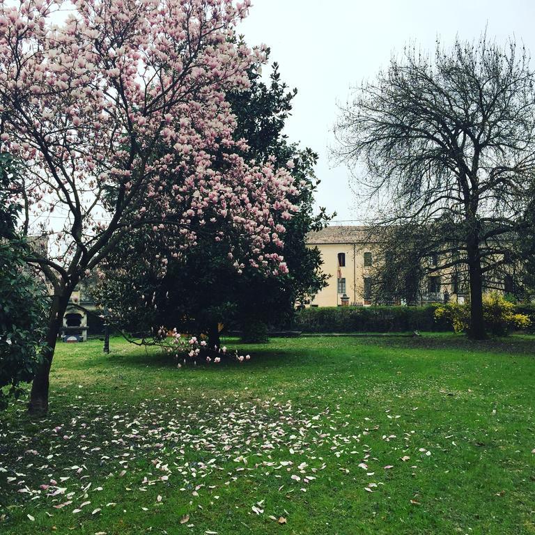 Agriturismo Villa Panigai Farra di Soligo المظهر الخارجي الصورة