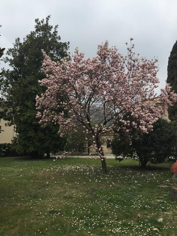 Agriturismo Villa Panigai Farra di Soligo المظهر الخارجي الصورة