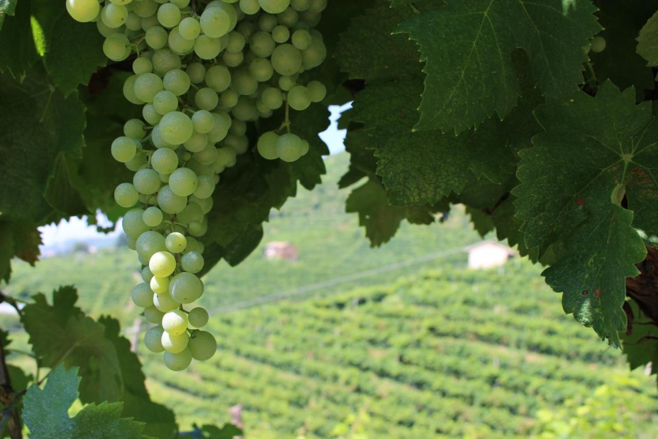 Agriturismo Villa Panigai Farra di Soligo المظهر الخارجي الصورة